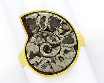 Foto 1 - Ammonit Versteinerung in Handarbeits-Goldring, S5421